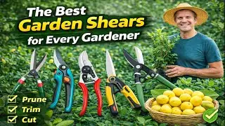 The Best Garden Shears for Every Gardener