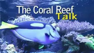 Finding Dory A Real Life Concern!