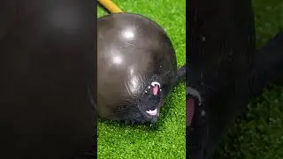 😮 Water Inside Squishies 💥 This Feels Illegal 😅