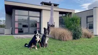 Chalet 'Riverlodge' 𝗺𝗶𝘁 𝗭𝗮𝘂𝗻, gro&szlig;em Garten, gl&auml;sernem Gaskamin und direkt am Wasser in Olburgen(NL)