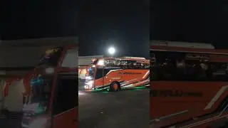 Bus Sri Maju Trans Nayanica #telolet #basuri #busmania #bussid #ets2 #shorts #trending #viralvideo