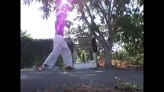 Practica Sansetsukon 03