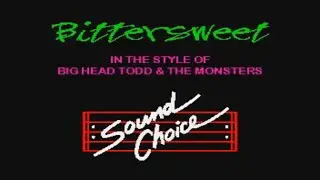Big Head Todd & Monsters   Bittersweet Karaoke