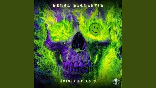 Spirit of Acid (Radio Mix)