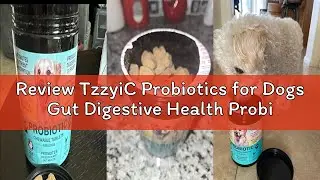 Review TzzyiC Probiotics for Dogs Gut Digestive Health Probiotic Chew for Dogs Digestive Enzymes Rel