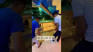 4 feet custom made fish tank #puneaquarium #blessingsaquarium
