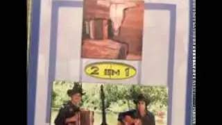 Los michoacanos del pinzan corridos