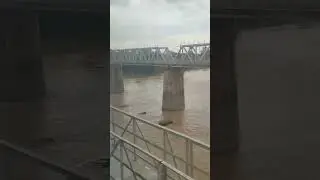 Train Crossing Over Large River In odisha #shorts #youtubeshorts