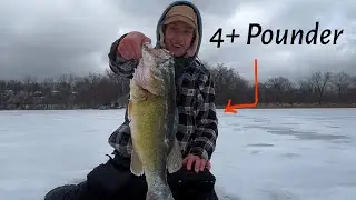 Rare day of NONSTOP ACTION! (Pike and Bass)