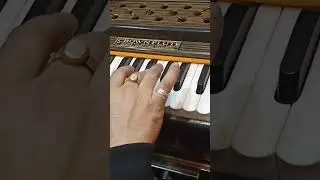 Harmonium lover #trending #reels #music #livemusic #live #harmoniumlessons #video #viralvideo #song
