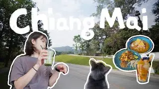 어떻게 흘러가는지 모르겠는 치앙마이 마지막 여행기 (🇹🇭치앙마이 EP.3) | Huan Kung Kum, 치앙마이 대학교, Cinder and Smoke, 싼티탐 주류점