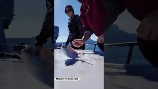 Fishing in Turkey   