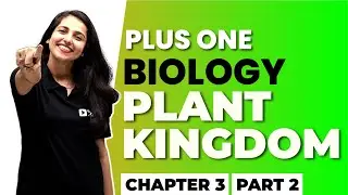 PLUS ONE BIOLOGY ONAM EXAM | PLANT KINGDOM PART 2 | CHAPTER 3 | EXAM WINNER +1 | +1 EXAM