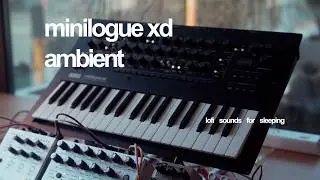 𝓽𝓻𝓪𝓷𝓺 -  Music for Meditation and Relaxation | Korg Minilogue XD Ambient Synth Music