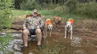 Up the Colorado River with the Pups