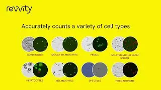 Cellometer&reg; K2 fluorescent viability cell counter &ndash; Accurate cell and isolated nuclei counts