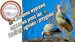 🚴‍♂️ Nieznany szlak 