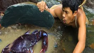 Catching mud crabs fresh and delicious 🦀✨Mud crab feast straight from nature!Fresh catch, fresh flav