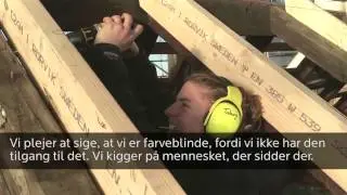 Nogle virksomheder frav&aelig;lger unge med anden etnisk baggrund