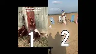 King Arena VS Zewi Lashka 🔥🔥