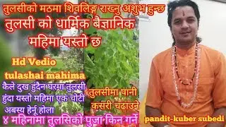 तुलसीकाे यती धेरै महिमा किन बालिन्छ सांझमा दियाे यसकाे रहस्य,धार्मिक बैज्ञानिक मतTulshi mahim nepali