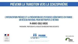 03 - L’intervention précoce et la prévention des psychoses débutantes en France