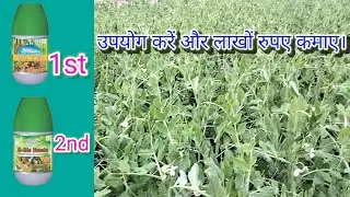 G-Bio Humic organics and G-sea liquid organic उपयोग करें और लाखों रुपए कमाए।