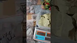 Crunchy Delight: Best Edible Clay Ready to Dispatch!