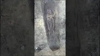 Тело немецкого солдата обнаружено разрезанным пополам &mdash; эксгумации времён Второй мировой войны