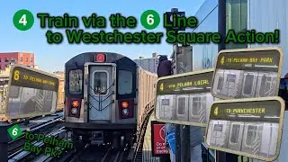 4 Train via the 6 Line to Westchester Square Action!