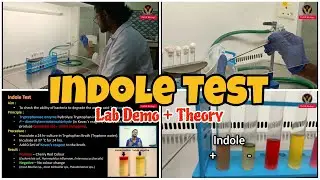 Indole Test | Lab demo | Tamil | Biochemistry | ThiNK Biology