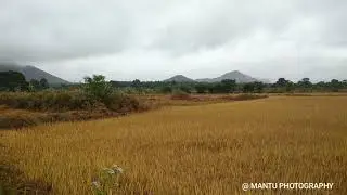 Effect of cyclone PHETHAI in Odisha , MANTU PHOTOGRAPHY
