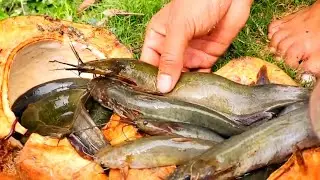 Catching Catfish with Green Coconut! New Fishing Hack Goes Viral
