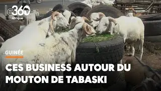 Guinée: vendeurs d’herbes, ces petits métiers qui fleurissent autour du mouton