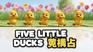 Quack Quack! Five Little Ducks Song 🦆 | Preschool Rhyme