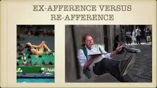 Webinar 1  : Core Laws in Vertigo & Imbalance : Dr Srinivas Dorasala