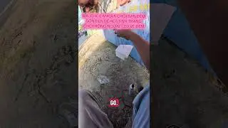 SƠN ĐEN CHỐNG CH&Oacute;I CHO CAMERA #funnyvideo #viralvideo #cameranguyentrung