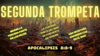 EVENTOS DEL FIN DEL MUNDO/ EL MAR SE CONVIERTE EN SANGRE / MUEREN LA TERCERA PARTE DE LA VIDA MARINA