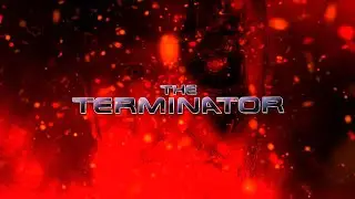 Never Been Chrissed - The Terminator