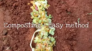 How to Trench Compost: Simple & Effective Way to Recycle Kitchen Waste Into Nutrient-Rich Soil