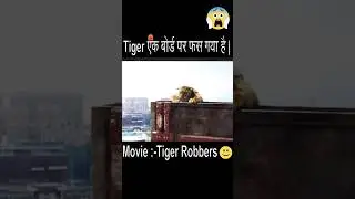Movie explanation:- Tiger Robbers | Best movie explanation Action Hindi Dubbed film #movie.