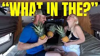 Americans React to Mexico: Shocking differences! (2024) | Van Life Mexico | EP 10