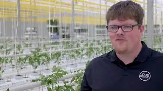 The Plants Are Fresh, Healthy And Ready To Grow!