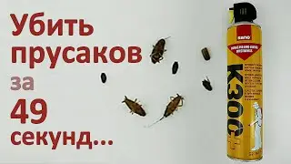 РЕКОРД: К300+ убил тараканов за 49 СЕКУНД