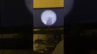 How to get shotguns rank in bo2 zombies