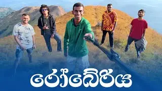 Roberiya Peak Camping | රෝබේරිය | හරිත පාරාදීසයක රැයක් 🌒 | #badulla #srilanka 🇱🇰 | Travel Vlog 04