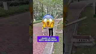 Drugari Nisu Pustili Devojčicu da se Igra sa Njima i Brat je Uradio OVO! 😱