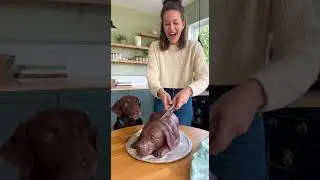 She cut a dog cake and the real fat dog freaks out !!🙀#dog #funny #cutedog #justcake #reactstocake