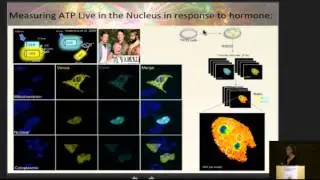 CRG SYMPOSIUM 2014: Roni H. G. WRIGHT