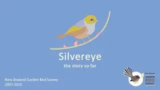 Silvereye: the story so far. New Zealand Garden Bird Survey 2007 - 2015